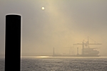 Nebel im Hafen