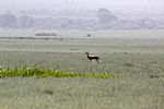 Waschlowani-Nationalpark,